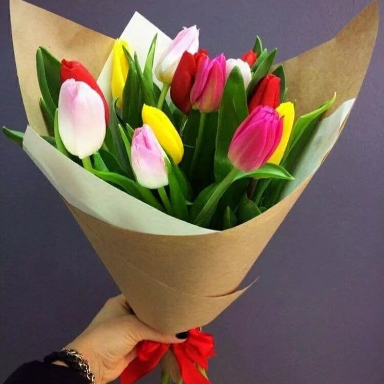 Тюльпаны 15 шт. ( Микс)