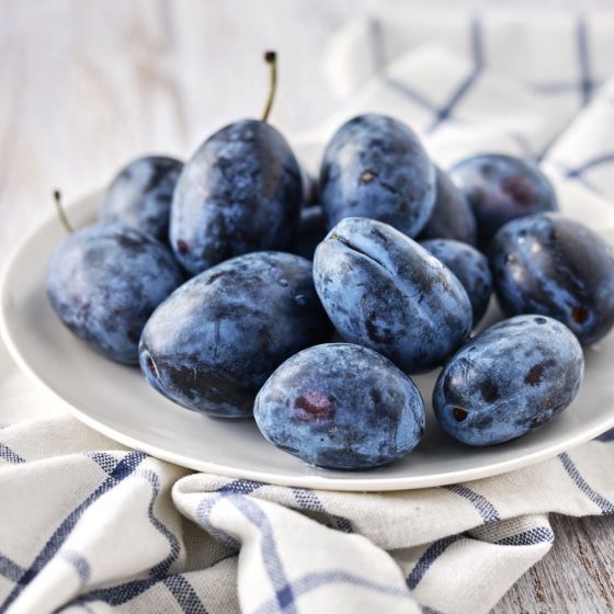 Слива Чернослив