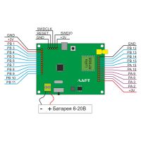 Lora STM