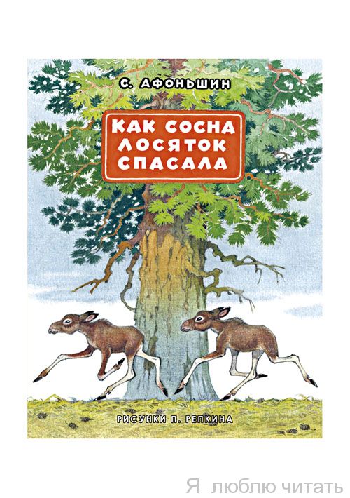 Как сосна лосяток спасала