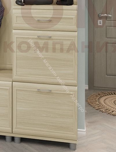 Прихожая МЕЛИССА  комп.01 Ясень Асахи