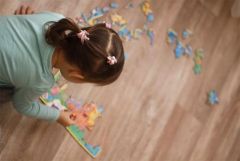 Деревянный пазл карта России