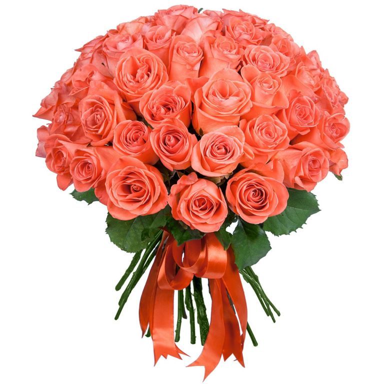 Коралловые розы 50 см