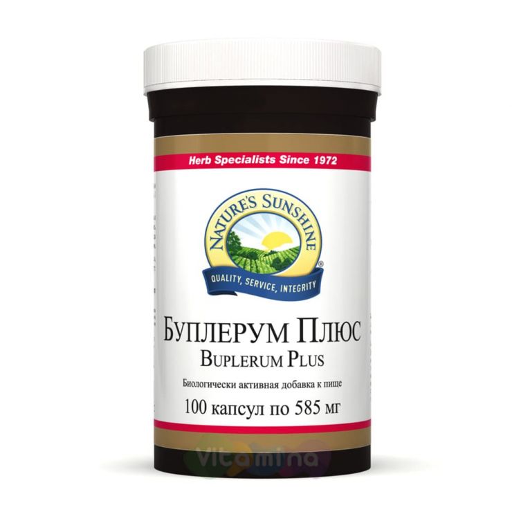 Bupleurum Plus (Буплерум Плюс)