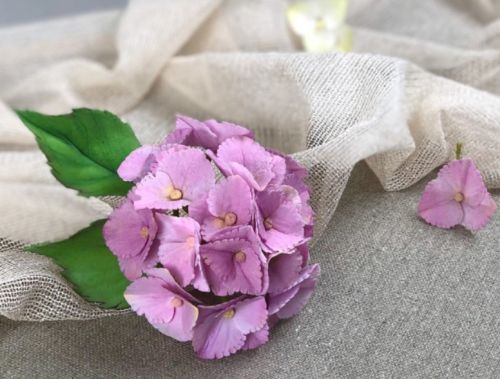 [ГДЕ ТОРТ?] Сахарный цветок «Гортензия» (Елена Сапожникова)