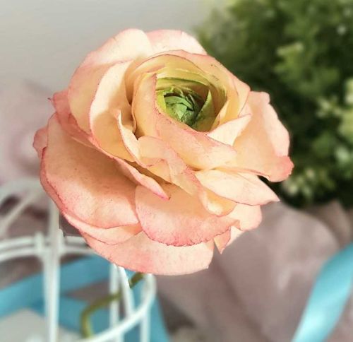 [Где торт?] Вафельный Ранункулюс (Евгения Бочарова)