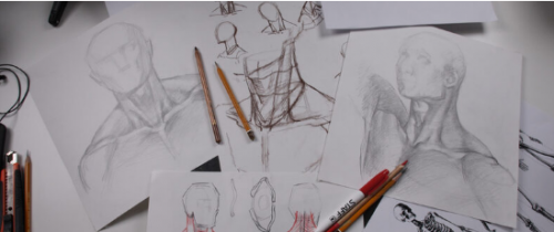 [Художник Online] Пластическая анатомия (Екатерина Бердюгина, Роман Круглов)