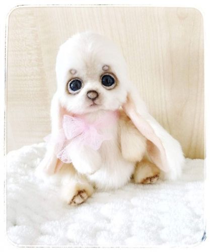 Мастер класс Зайка (Владлена Кристаль)