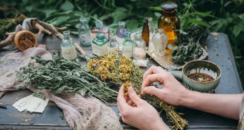 Целительство мира духов растений. Живые цветы внутри нас (Анная)