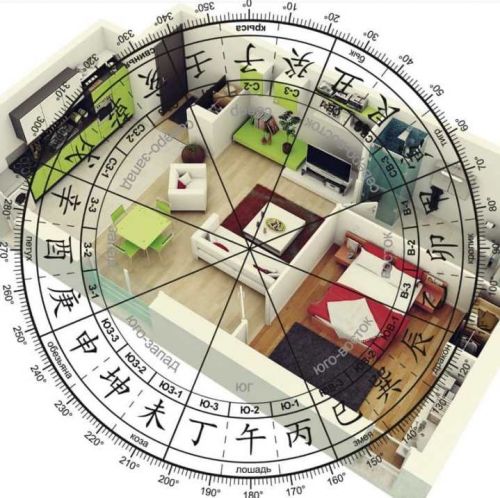 Фэн-шуй: новое измерение. Авторская система сочетания васту и фэн-шуй в доме (Ольга Николаева)