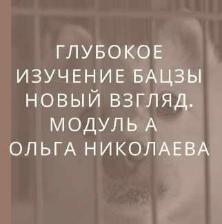 Глубокое изучение астрологии Ба Цзы. Новый взгляд. Модуль А (Ольга Николаева)