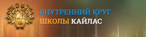 Новый шум. Для здоровья и денег (А. Дуйко)