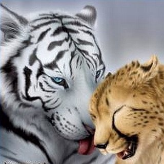 Особенности Анализа, Карта: Слабый Господин Дня И Сильный Господин Дня (Ольга Ксагорари)