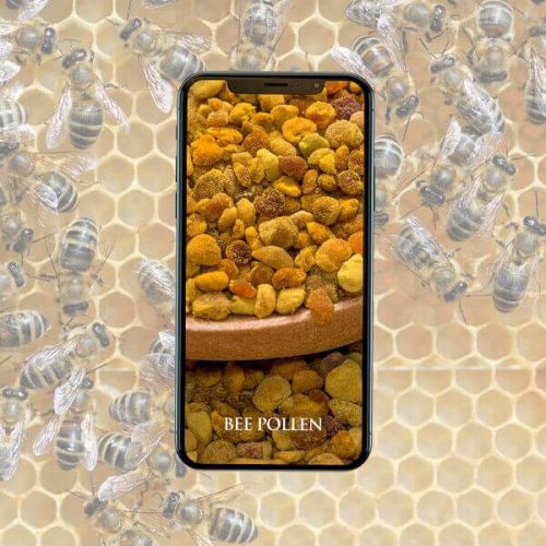 Пчелиная пыльца, Маточное молочко (Эрик Томпсон)