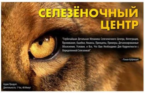 Селезеночный центр (Роман Кудрявцев)