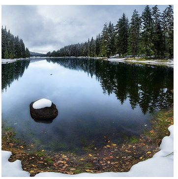 Весеннее очищение для всех (Алёна Полынь)