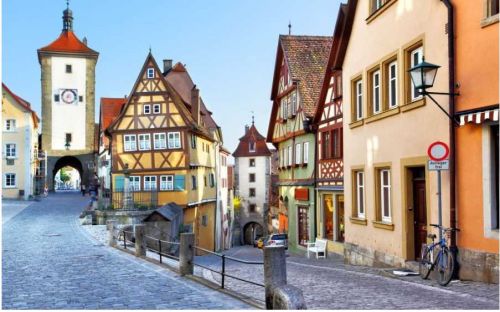 История идей (Елена Веселаго)