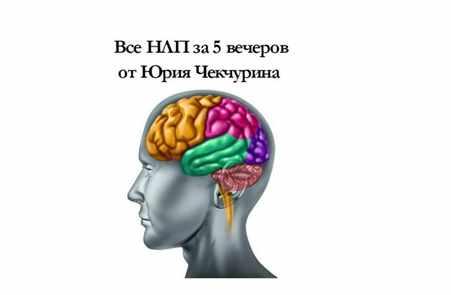 Всё НЛП за 5 вечеров. 2016 (Юрий Чекчурин)