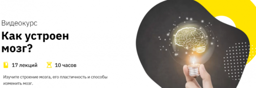 [Правое полушарие интроверта] Как устроен мозг? (Анастасия Кулькова)