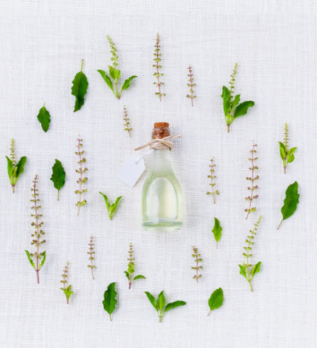 Ароматная аптека. 2019 (Галина Колосова)