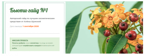 Бьюти-гайд №1 по лучшим косметическим средствам (Алёна Шумская)