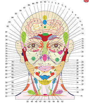 Диагностика по проекционным зонам на теле человека.(Огулов Александр)