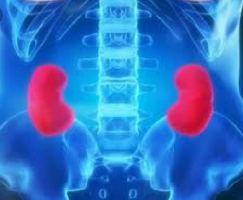 Два красивых боба (Ульвия Голденбрук)