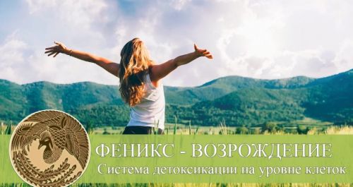 Феникс - Возрождение. Система детоксикации на уровне клеток (Эдуард Витюк)