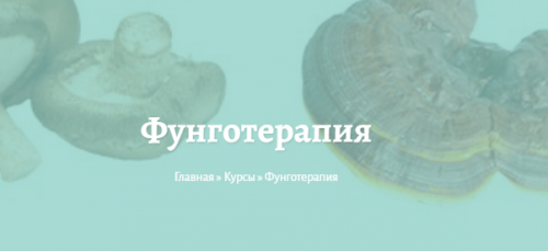 Фунготерапия (Елена Миргородская)