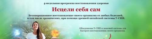 Исцели себя сам (VIP) (Татьяна Панюшкина)