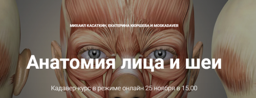 Кадавер-курс 'Анатомия лица и шеи' (Михаил Касаткин, Екатерина Кюршева)