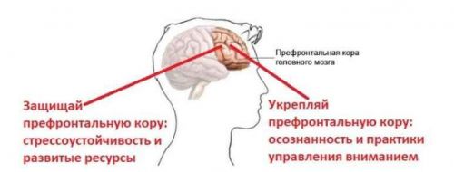 Курс Стресс. Осознанная стрессоустойчивость (Андрей Беловешкин)