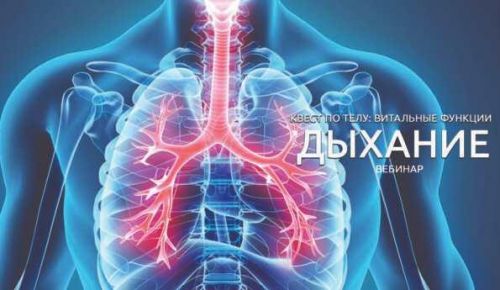 Квест по телу: витальные функции. Дыхание (Антон Шапочка)