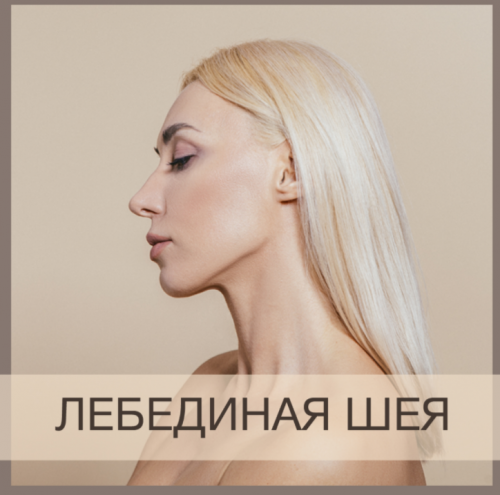 Лебединая шея (Анна Дерюгина)