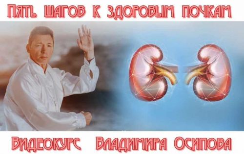 Пять шагов к здоровым почкам (Владимир Осипов)
