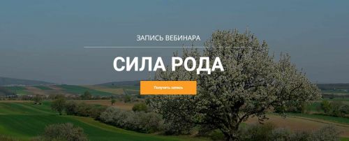 Сила Рода (Максим Кислицин)