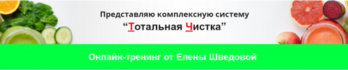 Тотальная Чистка (Елена Шведова)