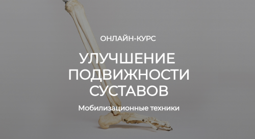 Улучшение подвижности суставов. Мобилизационные техники (Андрей Богатырев, Александр Семенов)