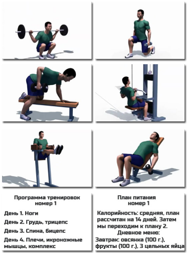 Your fit gym (Александр Добромиль)