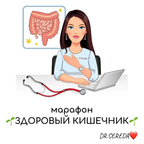 Здоровый кишечник (Анастасия Середа)