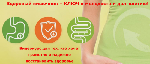 Здоровый кишечник (Ирина Дудник)