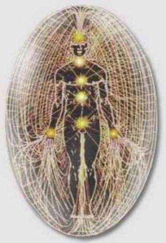 Живой сеанс исцеления репродуктивной системы женщин и мужчин (Светлана Белицкая)