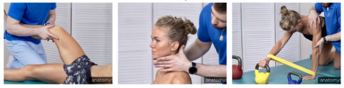 [Анатомия] Терапевтические упражнения (Андрей Богатырев)