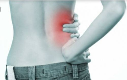 [Rubulat] Оздоровление почек и мочеполовой системы «Золотая почка» (Алексей Маматов)