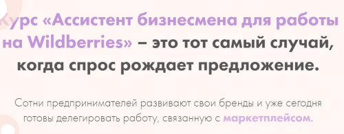 Ассистент бизнесмена для работы на Wildberries. Тариф Самостоятельный (Анастасия Якушева)