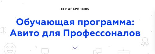 Авито для Профессоналов (Тимур Евлоев)