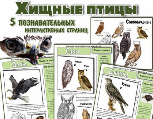 Хищные птицы. Интерактивные страницы про хищных птиц (Елена Солдатова)