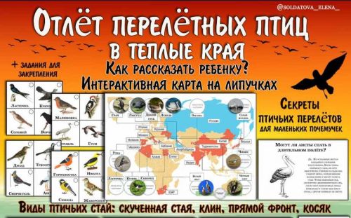 Отлёт перелётных птиц (Елена Солдатова)