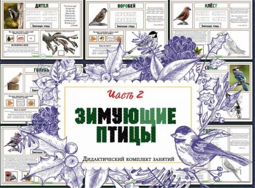 Зимующие птицы. Часть 2 (Елена Солдатова)