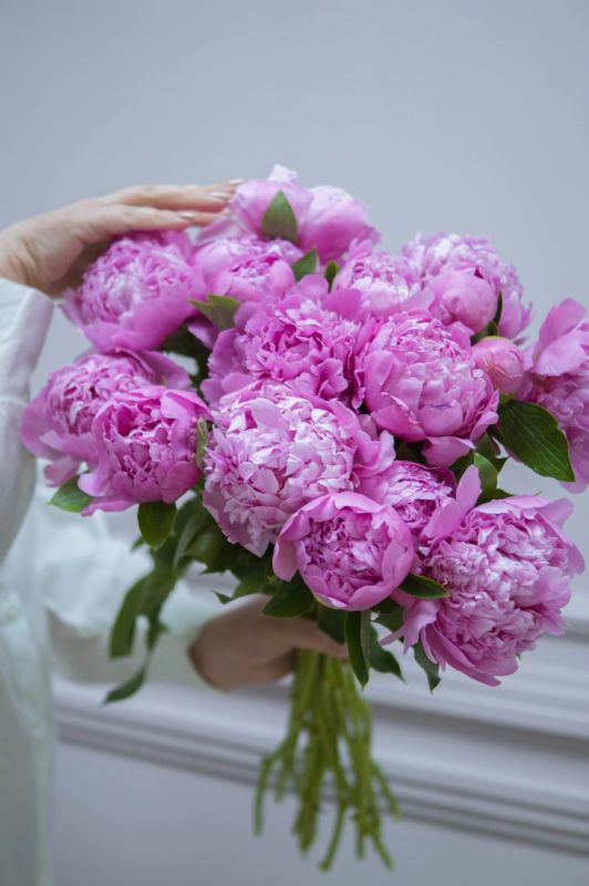 Охапка пионов Сара Бернар